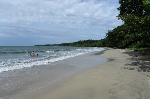 DSC04795  